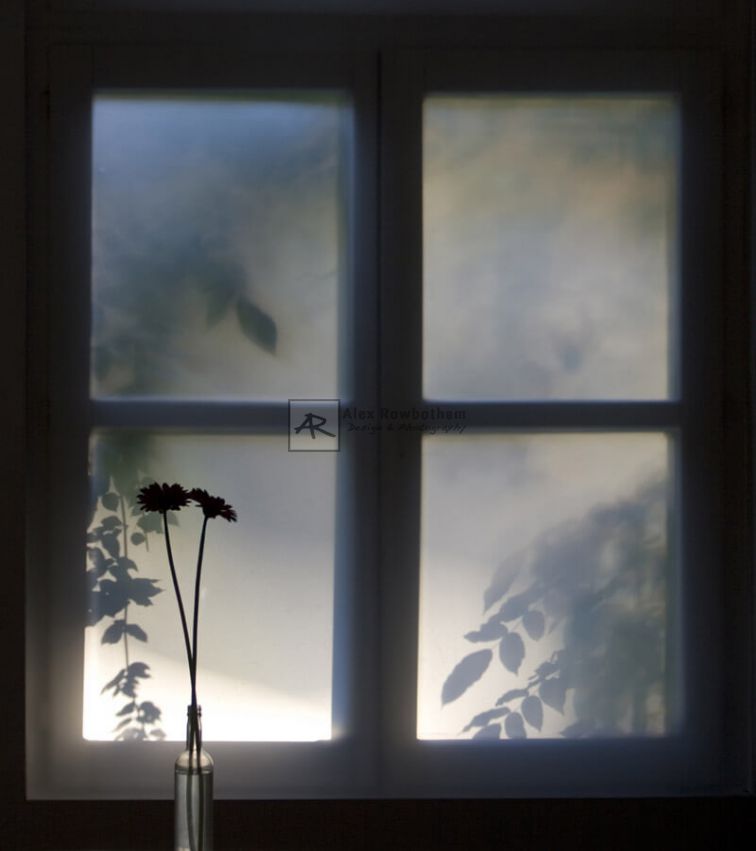 Belgian Window, a photograph by Alex Rowbotham